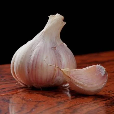 Garlic bulbs, the source of the garlic bulb extract in PressureCalm